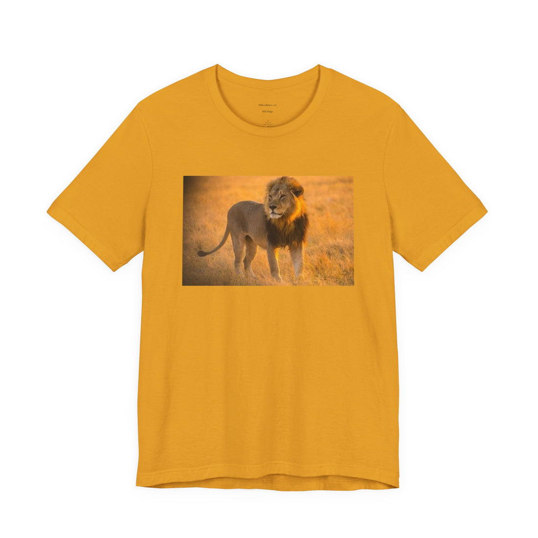 Lion Photography Tee — Majestic Male Lion Graphic T-Shirt
