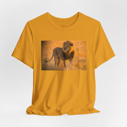 Lion Photography Tee — Majestic Male Lion Graphic T-Shirt